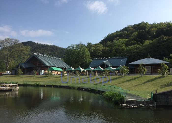 【滋賀県】妹背の里キャンプ場。小学生までの子供向け遊びがたくさんあった